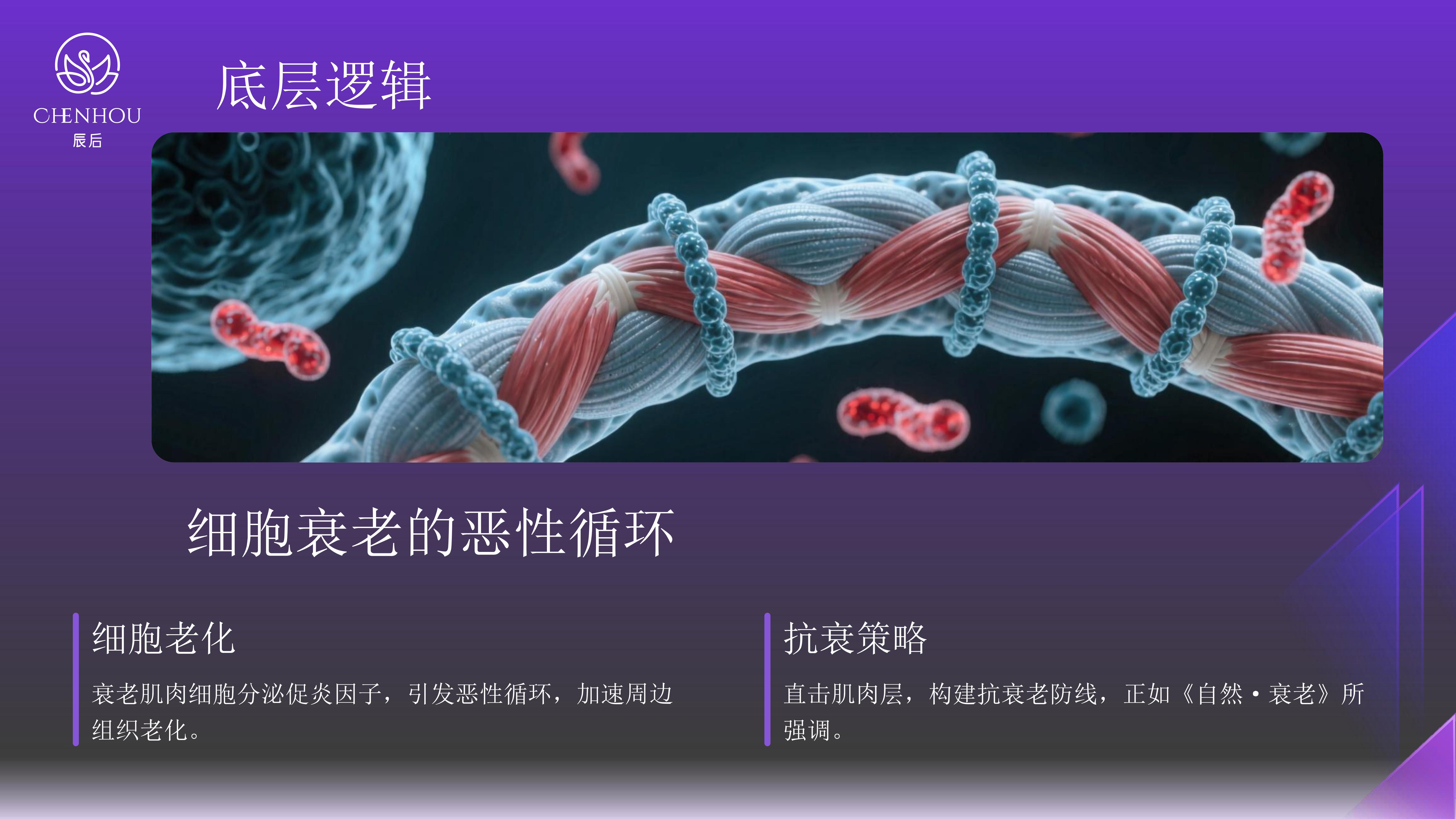 5bd2c822d5be50ab3ecbf63525b92719.jpg 辰后-肌元力项目企划书_15.jpg