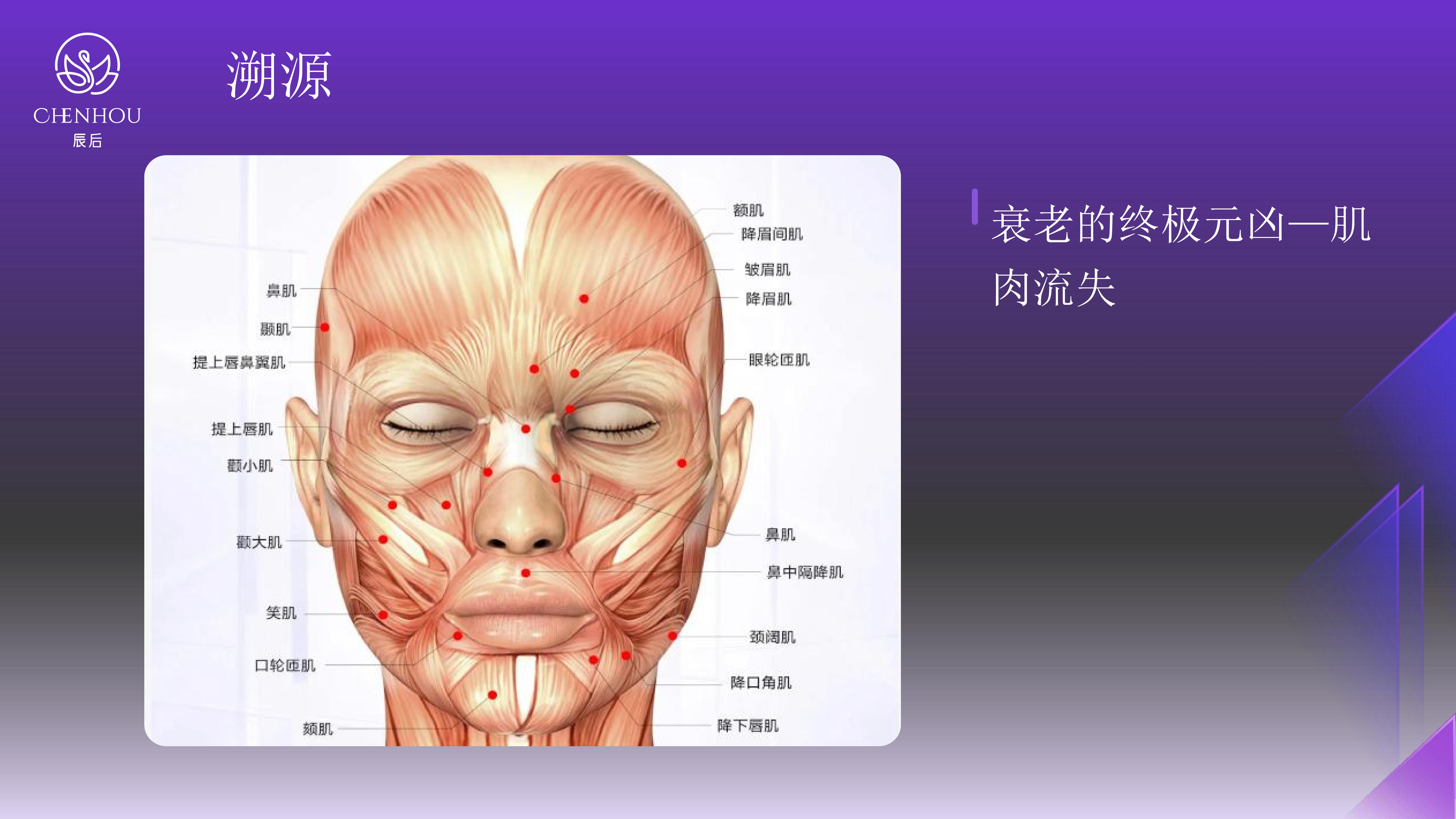 dbf33b6b1c456de5c453b10732aff4c2.jpg 辰后-肌元力项目企划书_12.jpg